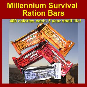 Millennium Survival Ration Bars (millennium)
