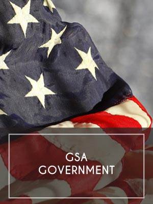 (15) GSA / Government