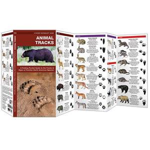 Animal Tracks - Waterproof - DuraGuide (SM9781583550724)