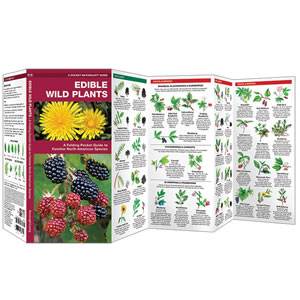 Edible Wild Plants - DuraGuide (SM9781583551271)