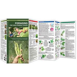 Foraging for Wil Edible Foods - Duraguide (SM9781620052785)