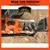 Head for Survival ®  ORANGE Triangular Bandana / Cravat with Printed Survival Information (HFSOrange)