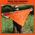 Head for Survival ®  ORANGE Triangular Bandana / Cravat with Printed Survival Information (HFSOrange)