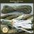 Multicam 550 Parachute Cord, 100 ft. (pcord100multicam)