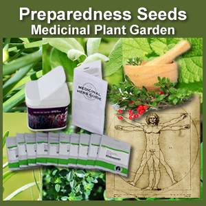Medicinal Plant Garden Bucket of Preparedness Seeds Non-GMO (PSMG)